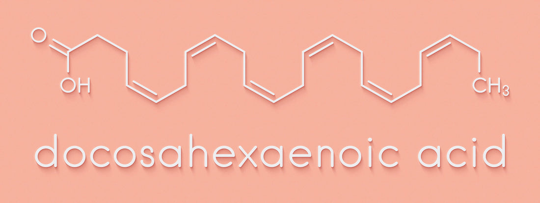 Does DHA from Fish Oil help prevent Brain Cancer?