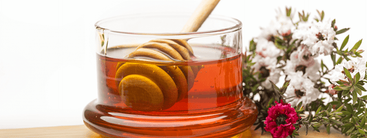 New Zealand’s Prized Manuka Honey