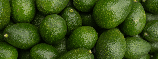 Avocado Oil
