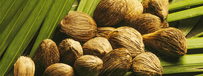 Babassu Butter