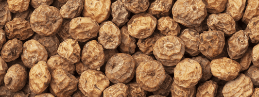 Chufa Milk Extract