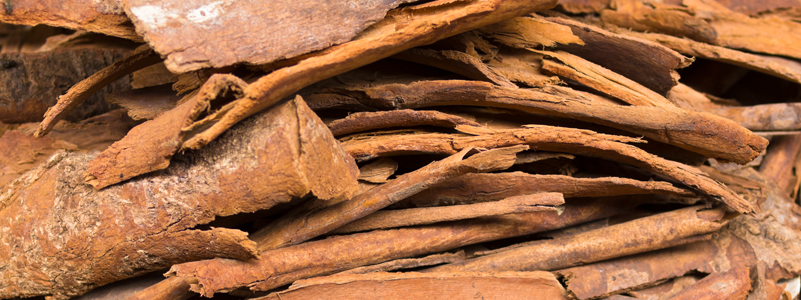 Cinnamon Bark