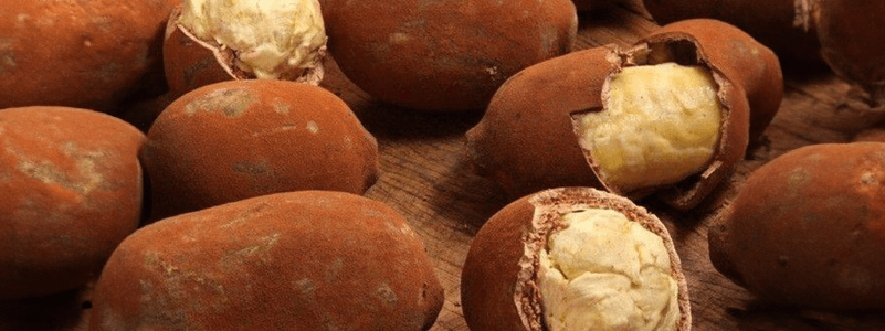 Cupuacu Butter
