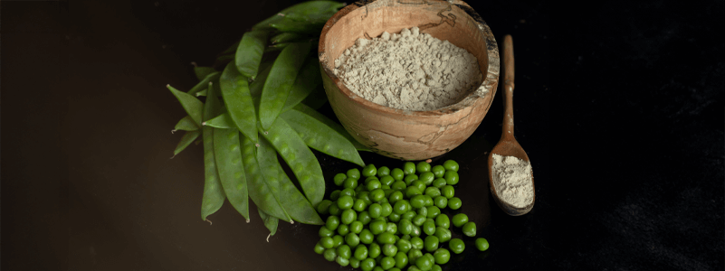 Pea Protein