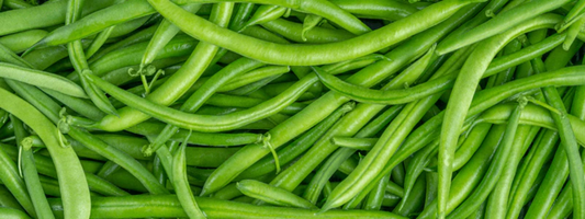 The Quiet Power of Molybdenum in a Balanced Diet