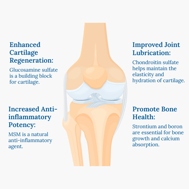 Connective Tissue Supplements - Not Just Joints | Xtendlife Connective Tissue Supplements - Not Just Joints | Xtendlife